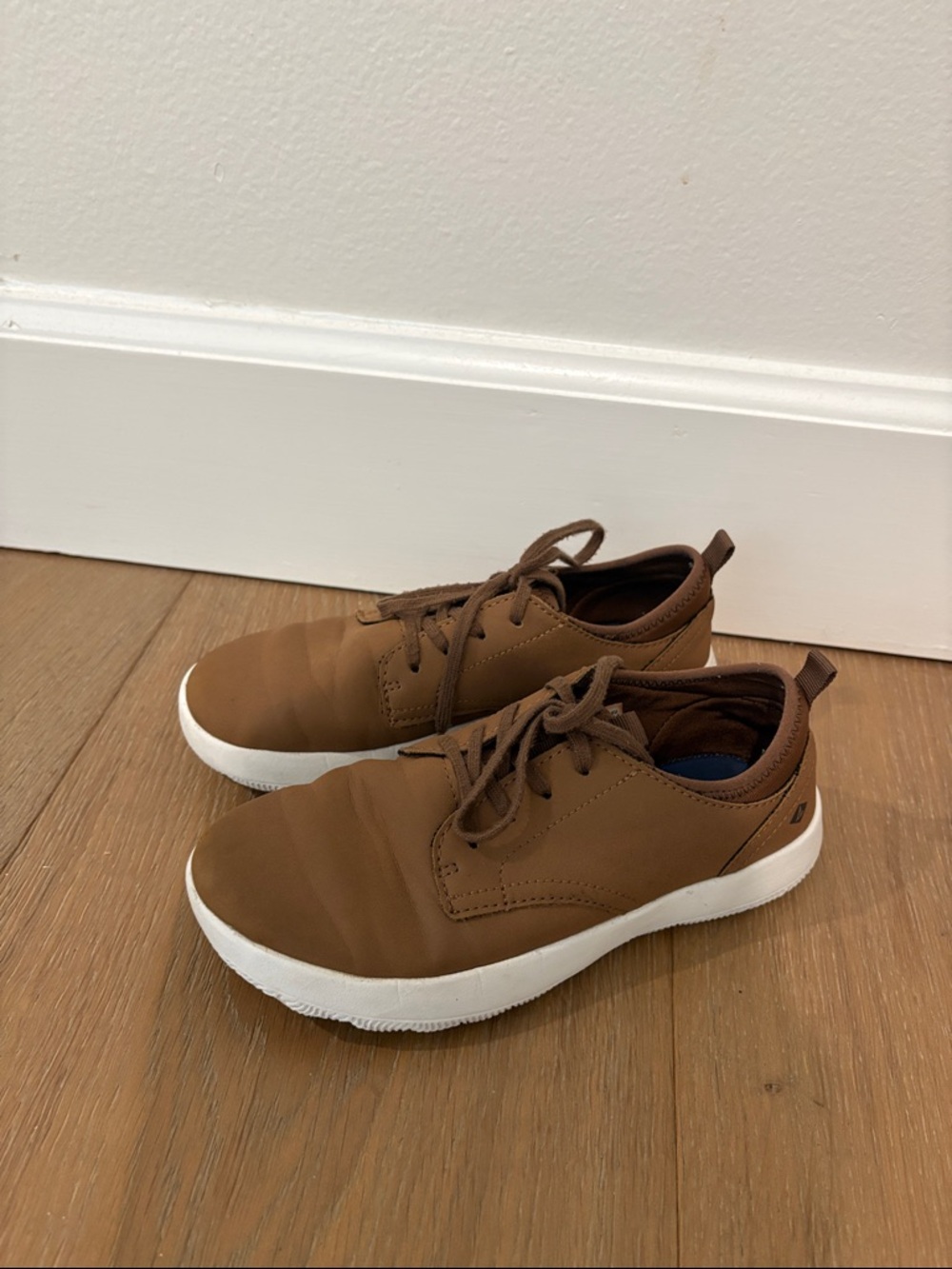 Sperry Boys Brown dress shoes